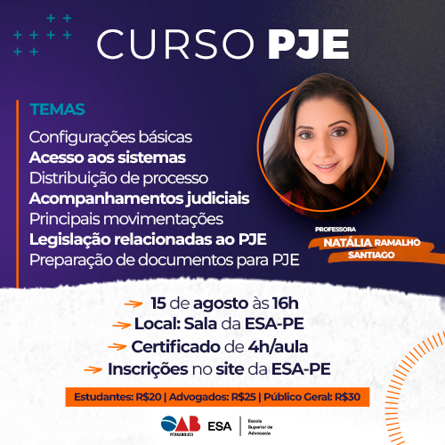 Dia: 15/08 – Curso PJE